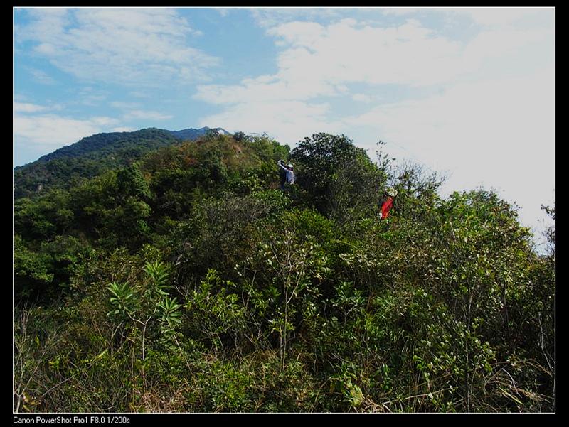 IMG_7141 (��) (��).JPG