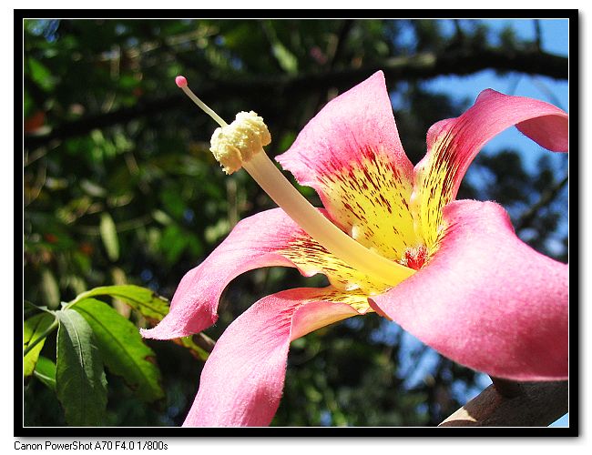 ��Ƭ 020_nEO_IMG.jpg