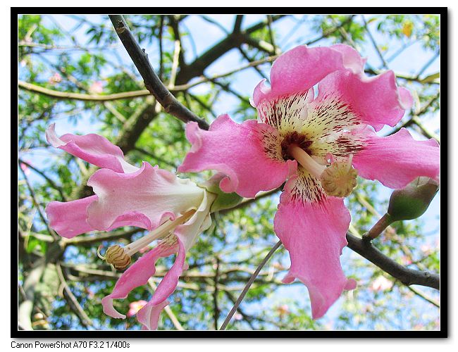 ��Ƭ 025_nEO_IMG.jpg