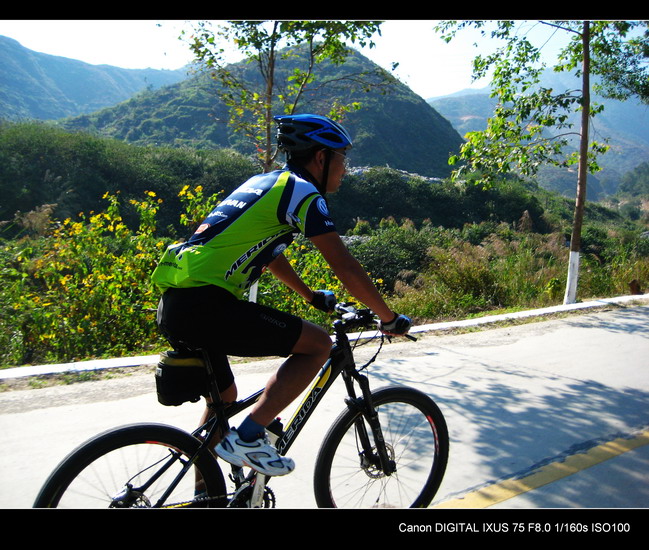 �ڱ�������