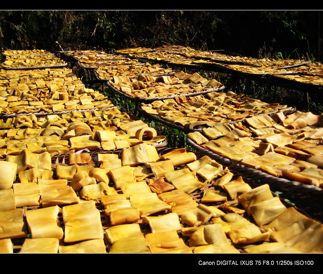 ��������������