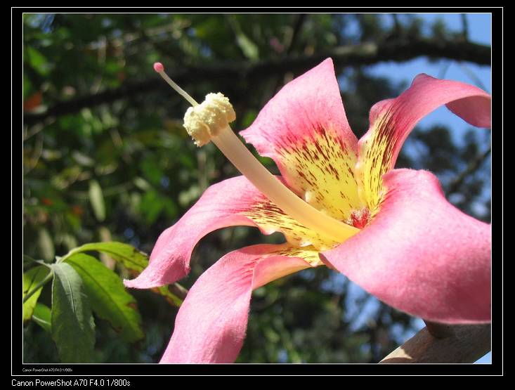 nEO_IMG_��Ƭ 020.jpg