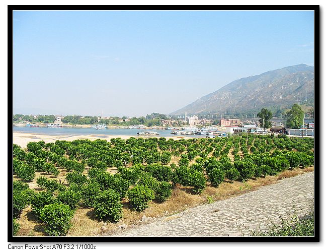 ��Ƭ 013_nEO_IMG.jpg