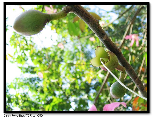 ��Ƭ 024_nEO_IMG.jpg