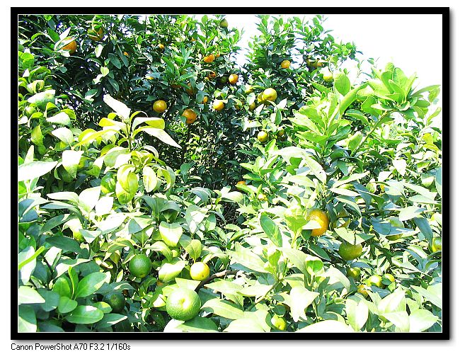 ��Ƭ 007_nEO_IMG.jpg