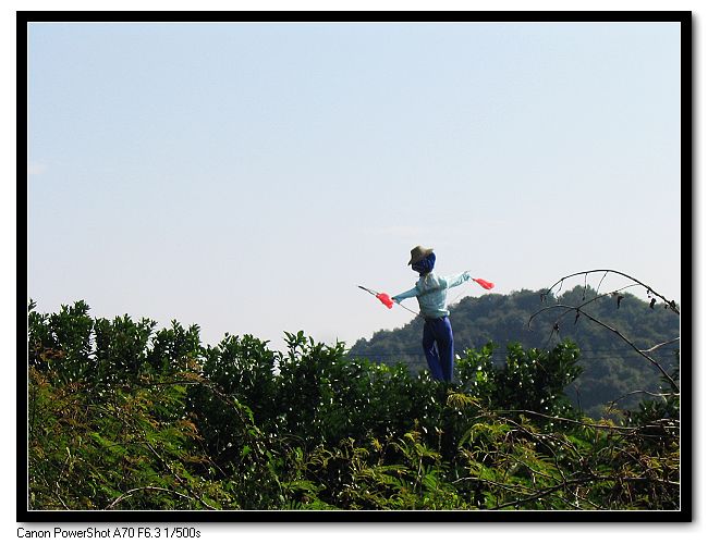 ��Ƭ 005_nEO_IMG.jpg