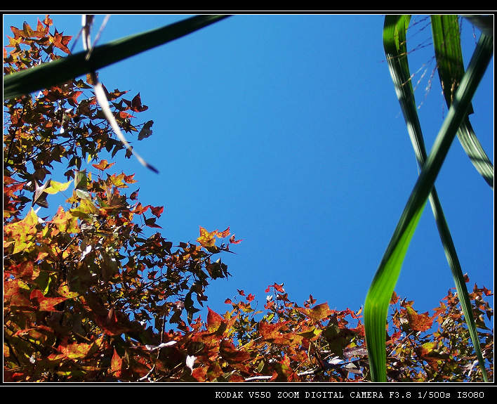 �·�����ɽ��Ҷ3 050.jpg