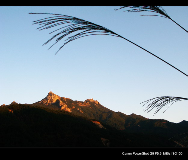 ����ɽ����