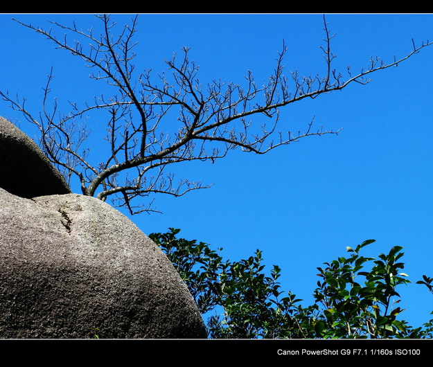 ����������ɽ