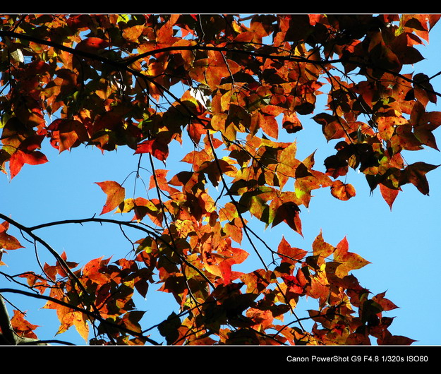 ����ɽ���㾰�续