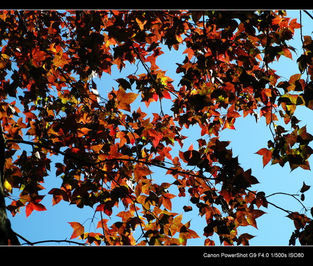 ����ɽ���㾰�续