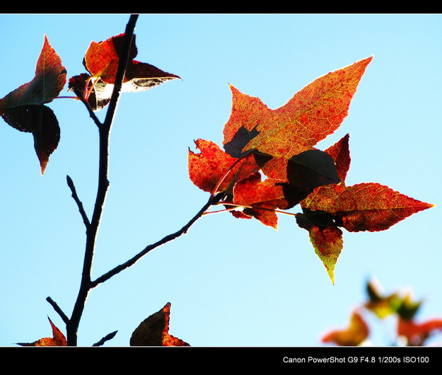 ����ɽ���㾰�续