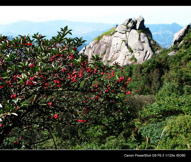 ����������ɽ