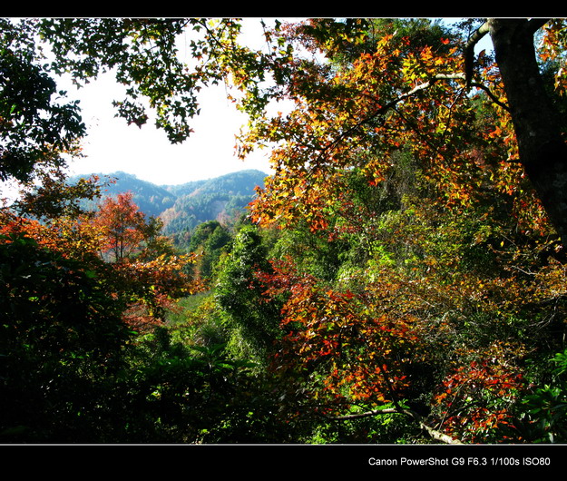 ����ɽ���㾰�续