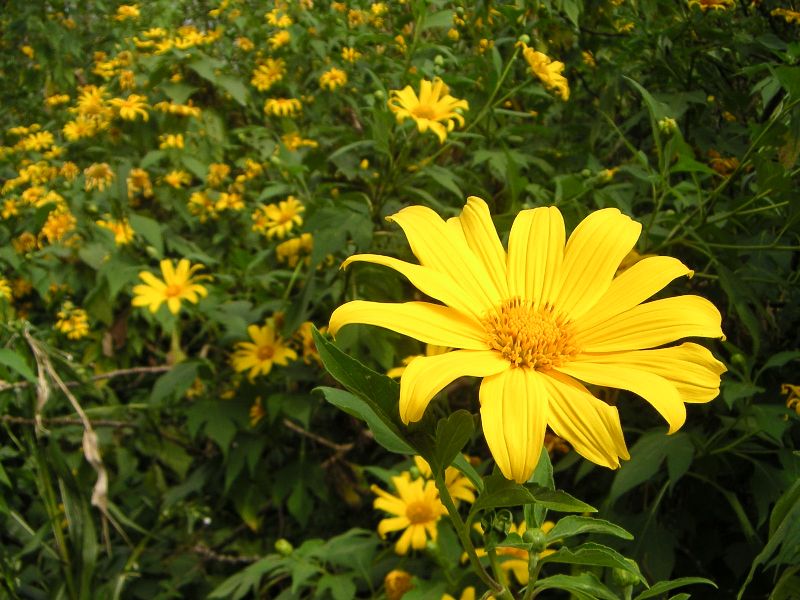 ���� PICT0038.JPG