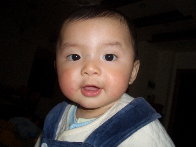 ��һ�궬��Ļ���è