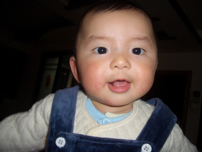 ��һ�궬��Ļ���è