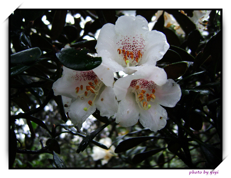 �˼����·��ƾ�������ɽ������ʱ