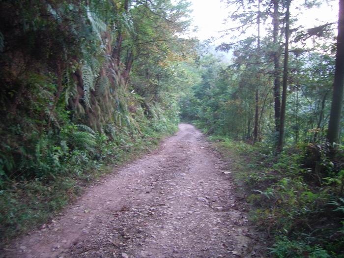 ���ʺ�ɽ�س����ߵ�С��