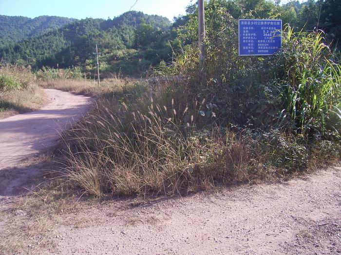 ǰ��100�ף������·���ҹգ���ָʾ�ƣ�����ʼ��ɽ��