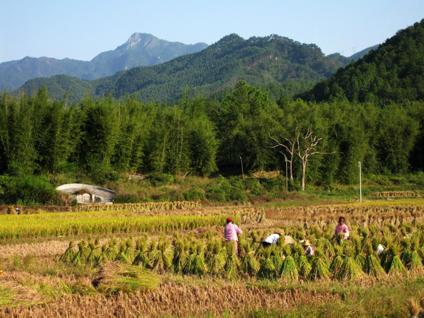 ��¥��Զ��