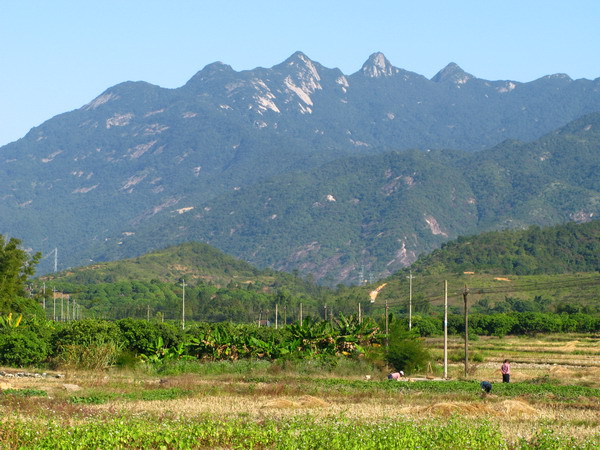 ;���ӻ���ָɽ