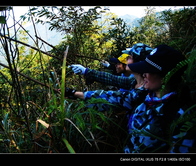 ������ǿ�����ʲô��