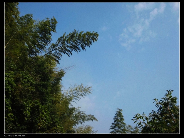 �ʺ���ɽ������