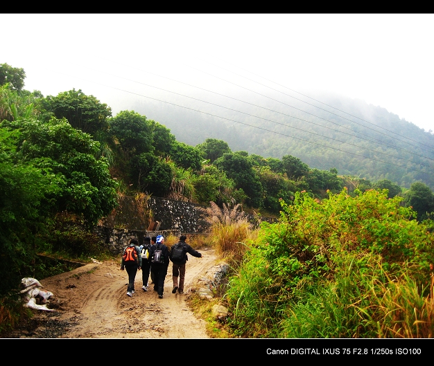 ��Ӱ����ʽ����