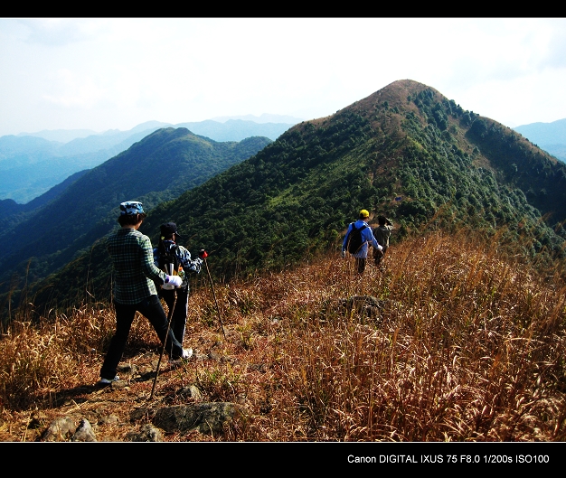 ���ϸղſ������Ǹ�ɽͷ������ǰ���ɽ���������������