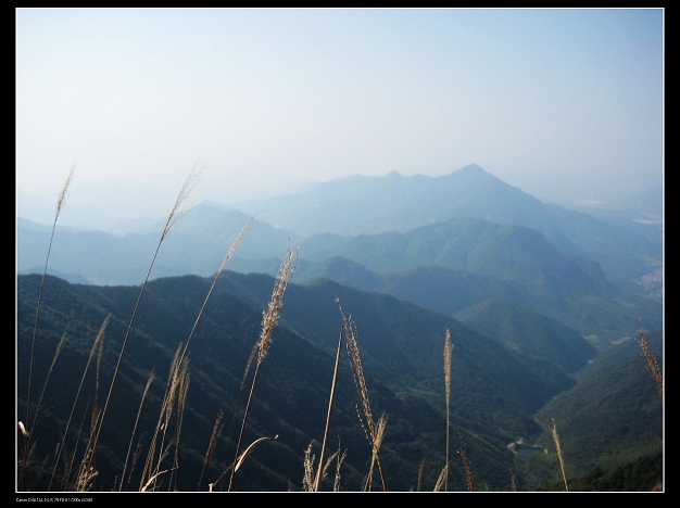 ����ɽ��