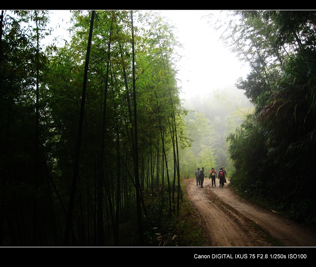 ������Ũ���н���