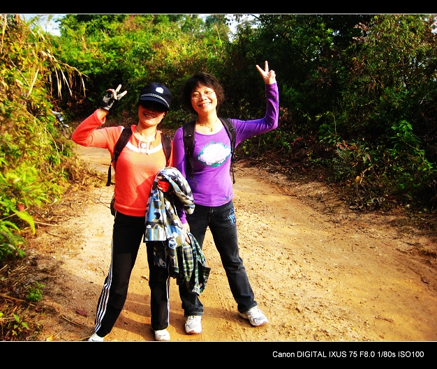 ������¿Ҷ�������