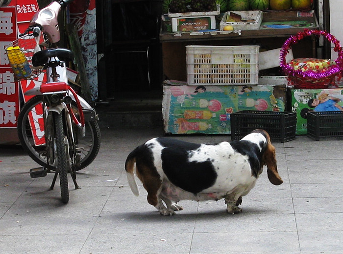 ��ͷ����