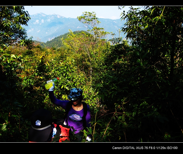 �������д���