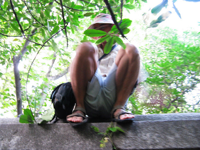 ��������·....