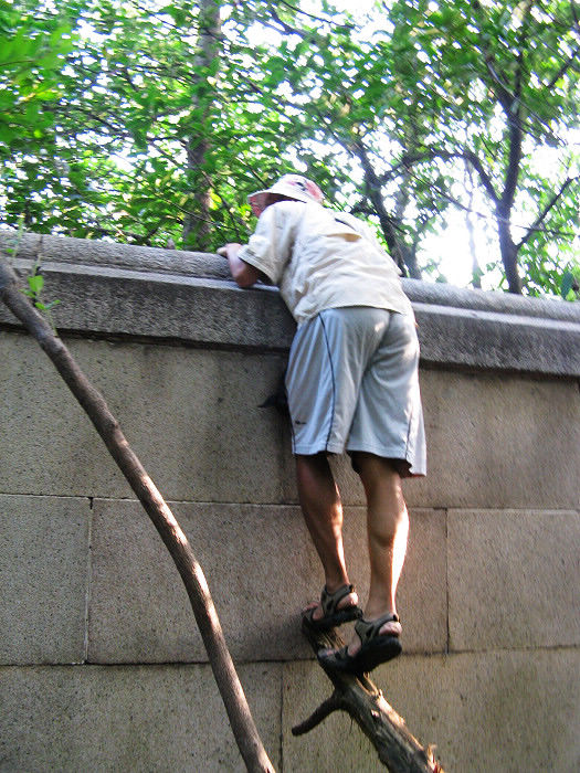 ˳��һ��С·�������Χǽ������ȥ�Ϳ����ӹ���Ʊ����...