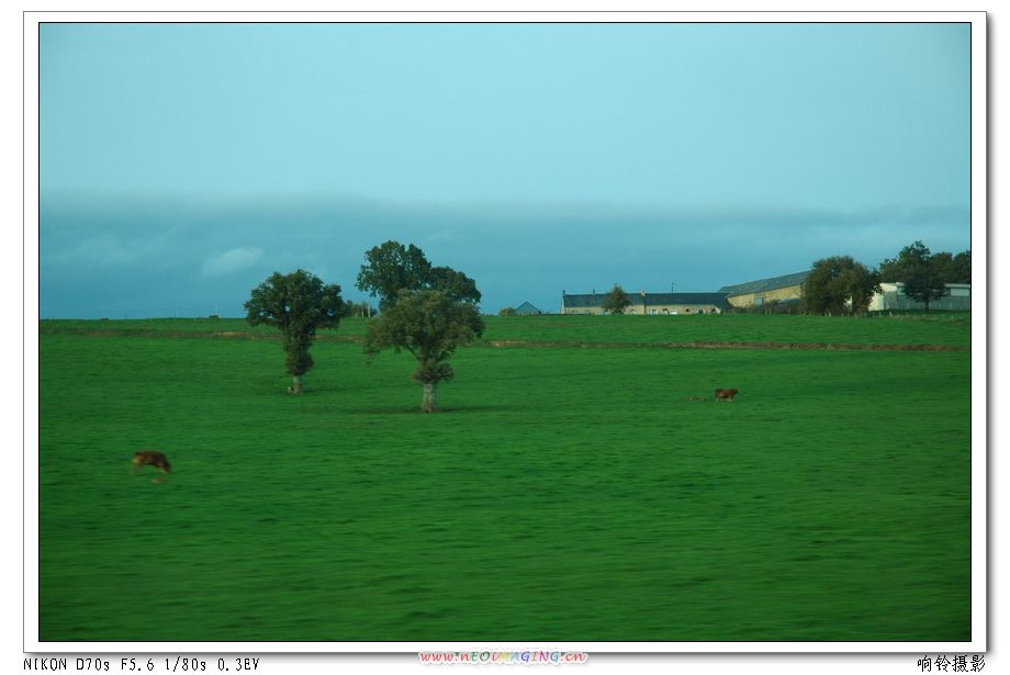 ��������·�ϣ� �տ�����Ұ���ѵü�����Ӱ�ڸ���