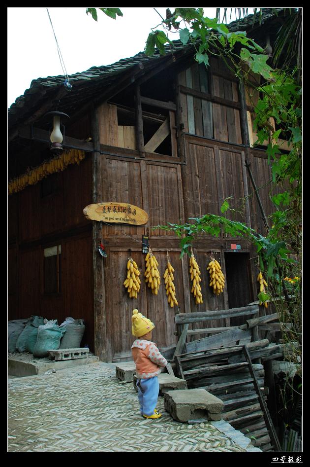 ������������կ��