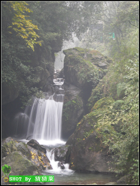 �ٲ�����