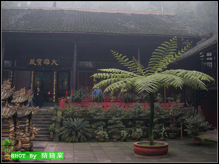 ��ϡާ��ֲ��