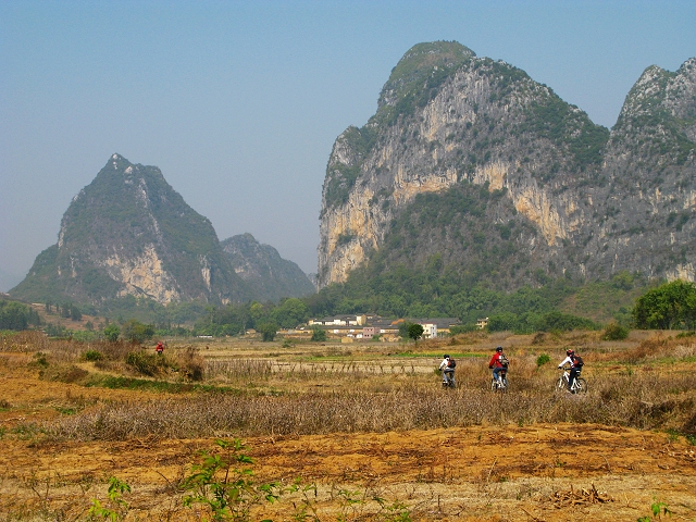 �����ڷ�����5