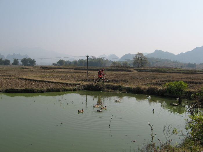 ����һ̲��Ѽ