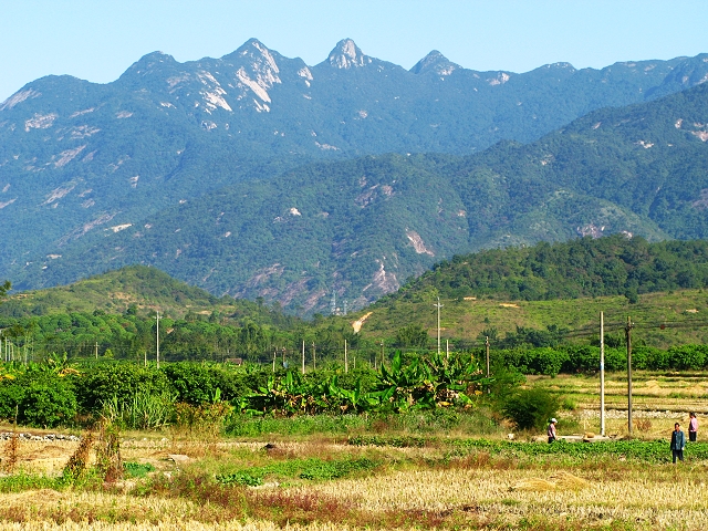 ��������������ָɽ