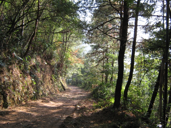 ������������·