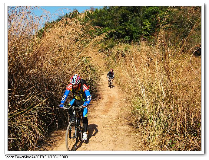 ɽ������