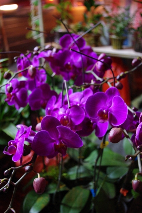 �ұ����գ�����Ҫ֪��ʲô������һ����������ʰ�