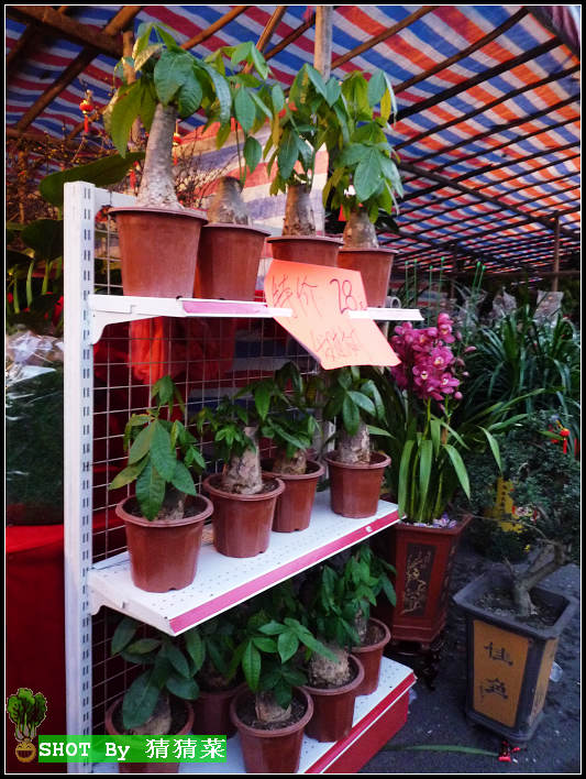 ��ס��������28Ԫ�����ʻ�����ʱ������