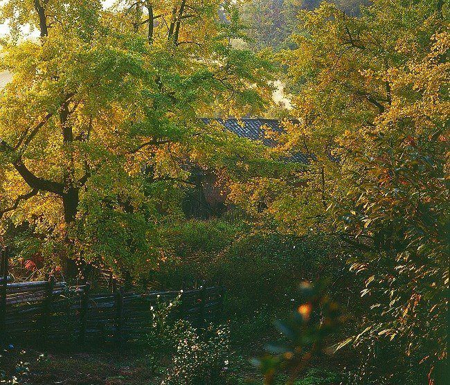 ��������ƺ��