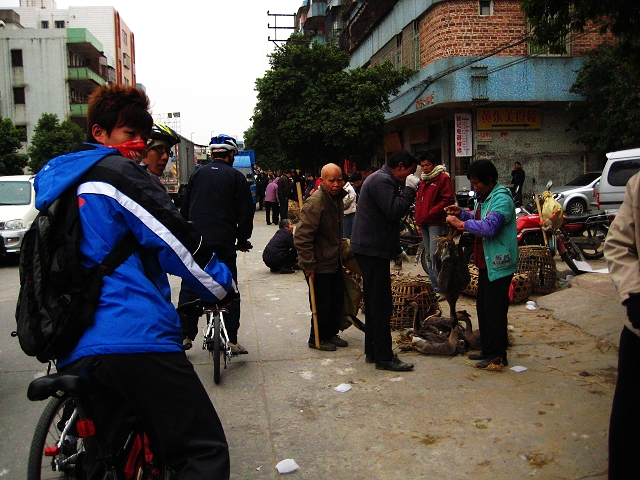 ����ɽ����